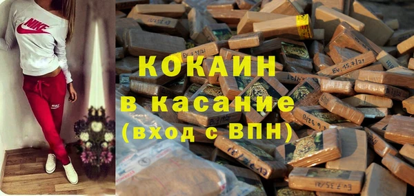 индика Вязники
