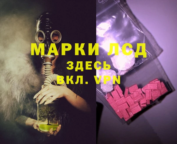 гидра Вяземский