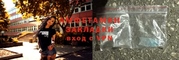 гидра Вяземский
