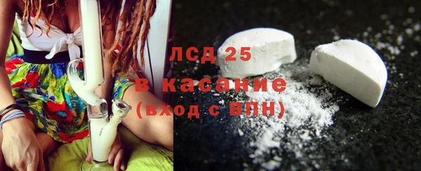гидра Вяземский