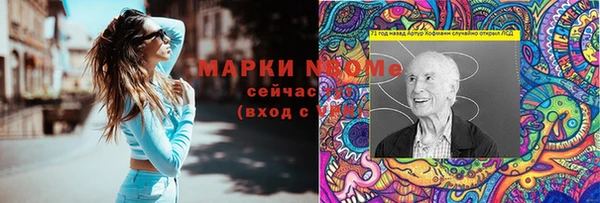 индика Вязники