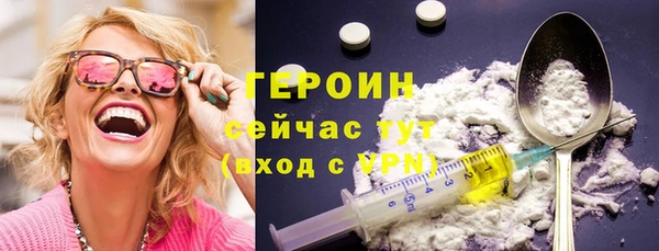гидра Вяземский