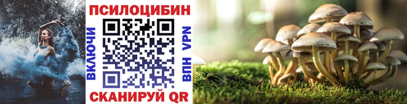 цены Партизанск Галлюциногенные грибы прущие грибы